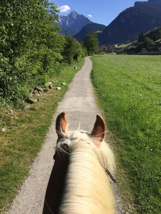 Ferienhaus Zillertal Panorama Blick Balkon Sauna Zellberg Екстериор снимка