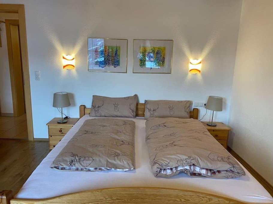Ferienhaus Zillertal Panorama Blick Balkon Sauna Zellberg Екстериор снимка
